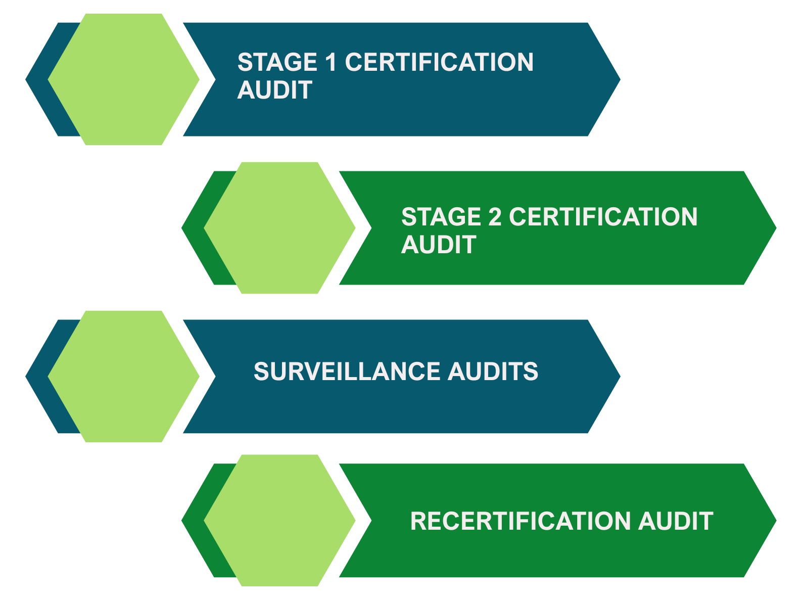 MDSAP Process